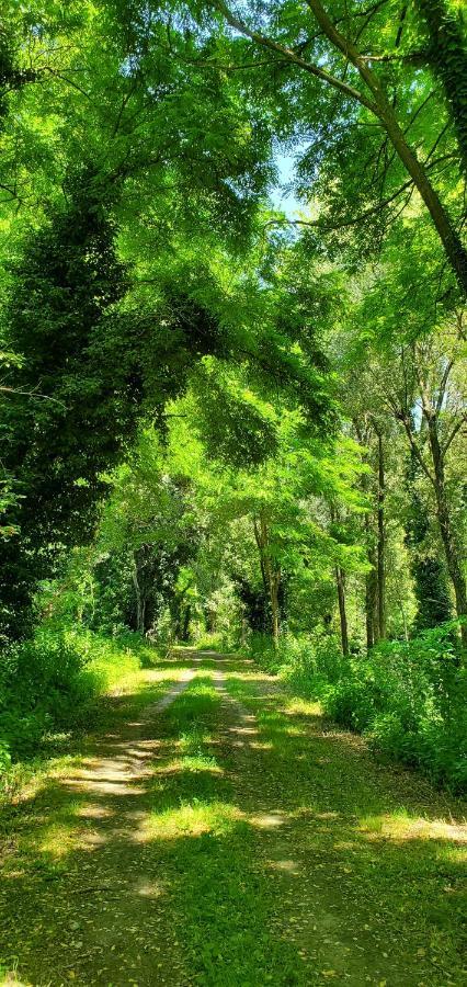 Agriturismo La Lenticchia ฟราตตา แตร์เม ภายนอก รูปภาพ