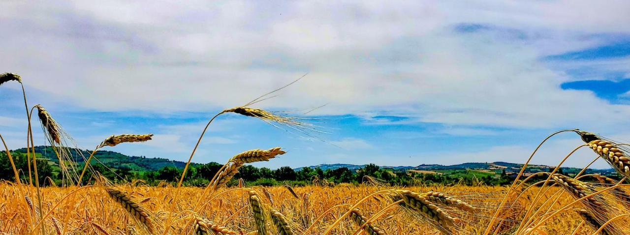 Agriturismo La Lenticchia ฟราตตา แตร์เม ภายนอก รูปภาพ