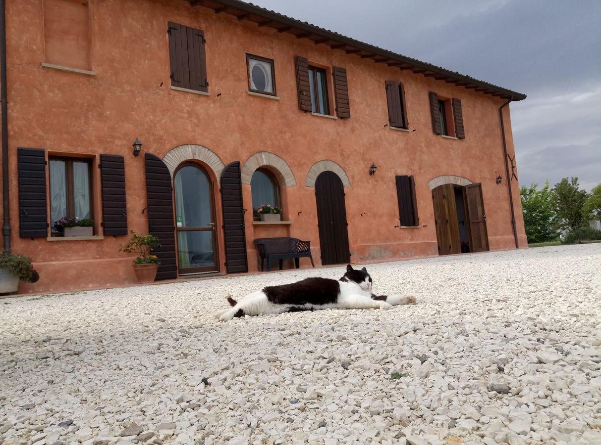 Agriturismo La Lenticchia ฟราตตา แตร์เม ภายนอก รูปภาพ